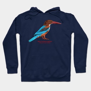 White-throated kingfisher | Halcyon smyrnensis Hoodie